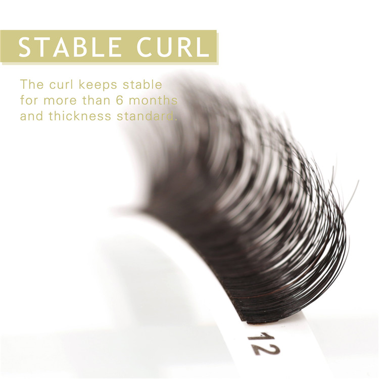 obeya-Stable curl.jpg